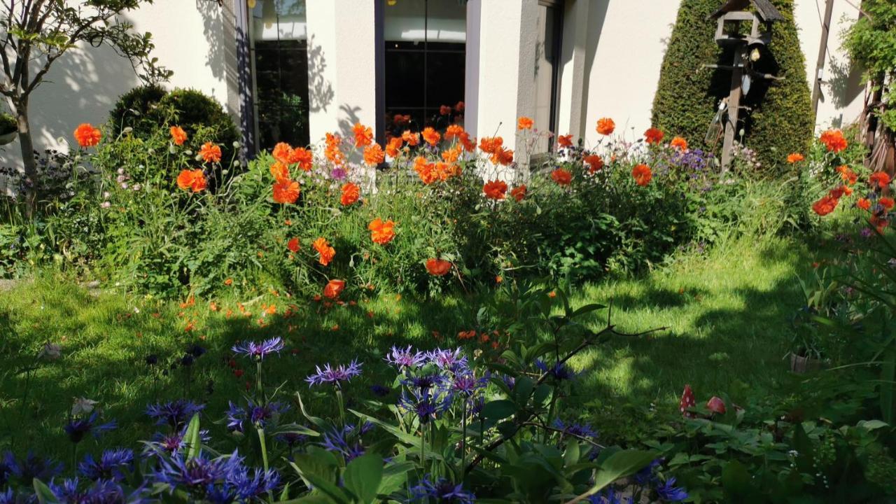 Gartenwohnung Paulsdorf Dippoldiswalde Exterior foto